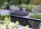 &#169;Gilbert de Jong Sfeervolle tuin met vijver en vaste planten