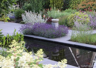 ©Gilbert de Jong Sfeervolle tuin met vijver en vaste planten