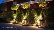 Bolbomen-tuinverlichting