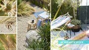 Tuintrends 2018 mediterrane tuin strandtuin Jacqueline Volker5