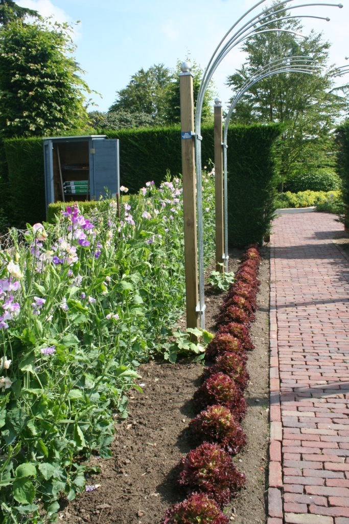 Overleven Bijproduct herhaling De eetbare tuin: Eten uit je eigen achtertuin! Het is makkelijker dan je denkt - Tuinontwerpervinden.nl Overleven Bijproduct herhaling De eetbare tuin: Eten uit je eigen achtertuin! Het is makkelijker dan je denkt - Tuinontwerpervinden.nl