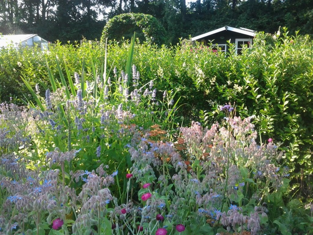 Ongekend De eetbare tuin: Eten uit je eigen achtertuin! Het is makkelijker YX-69