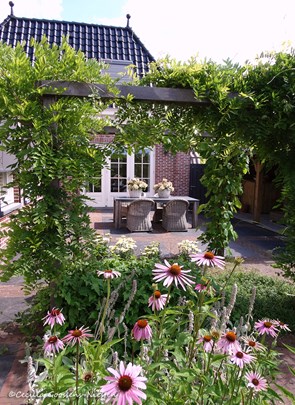Tuin Heemskerk met Echinacea zonnehoed &#169;Cecilia Goossens-Niesten