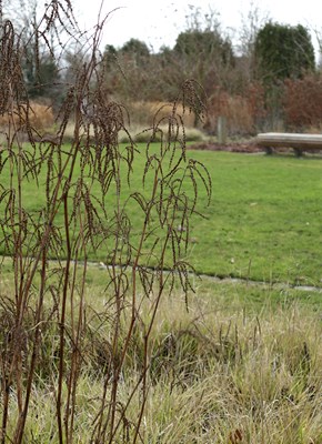De Vlinderhof in het Maximapark (Vleuten) in de winter ®Marrion Hoogenboom