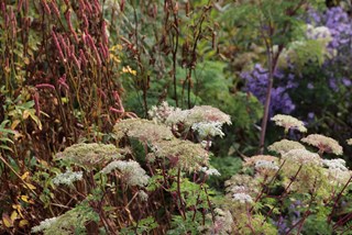 Vlinderhof2019_020
