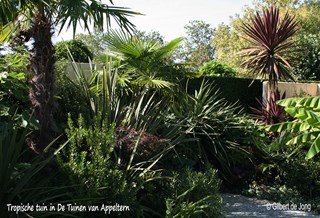 ©Gilbert de Jong Tropische tuin in De Tuinen van Appeltern archieffoto