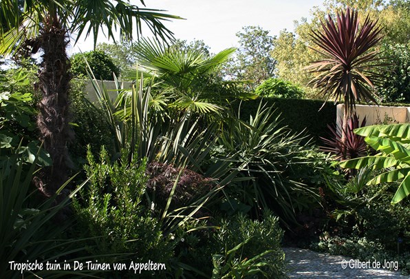 &#169;Gilbert de Jong Tropische tuin in De Tuinen van Appeltern archieffoto