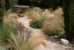 &#169;Gilbert de Jong Stipa tenuissima &#39;Ponytails&#39; - Vedergras