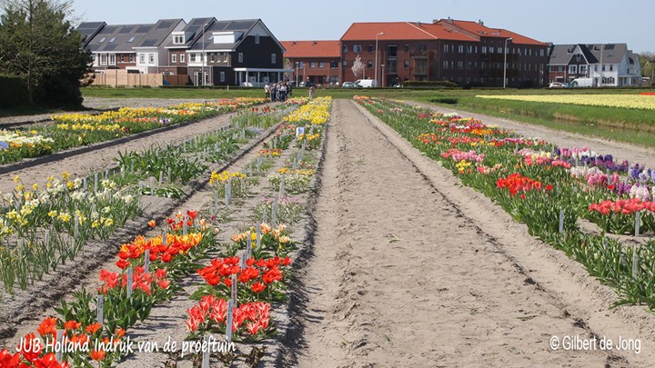 &#169;Gilbert de Jong JUB Holland Indruk van de proeftuin