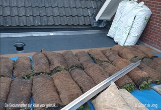 Sedummatten aluminium dakprofiel steenwolsubstraat ©Gilbert de Jong