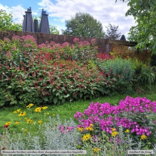 Bloeiende plantenborders